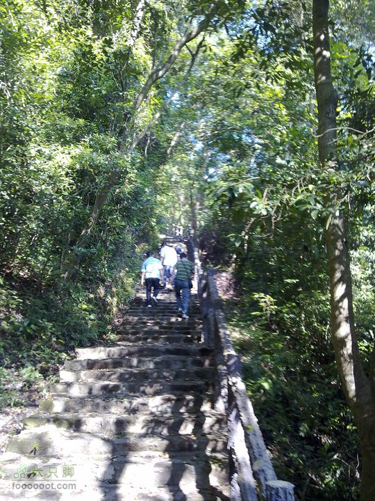 广州从化白石山穿越上山途中3