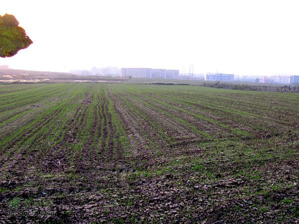 滈河南岸颇荒凉2011.10.17滈河行 176_副本