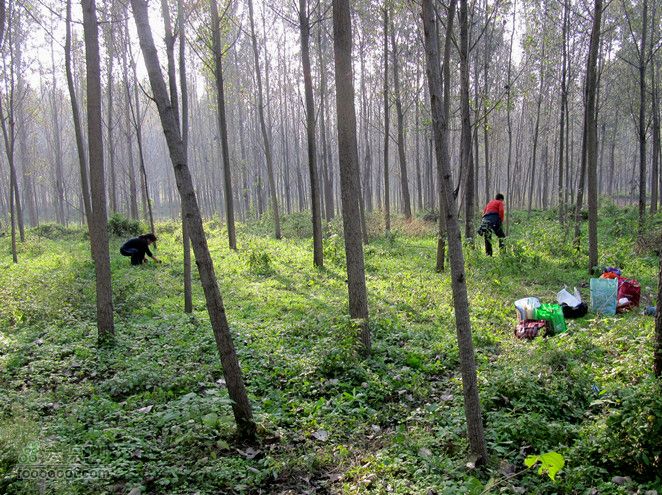 滈河南岸颇荒凉2011.10.17滈河行 055_副本