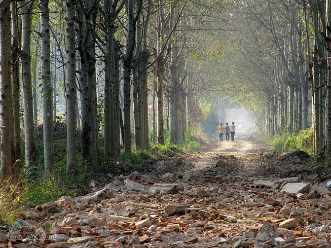 滈河南岸颇荒凉2011.10.17滈河行 065_副本