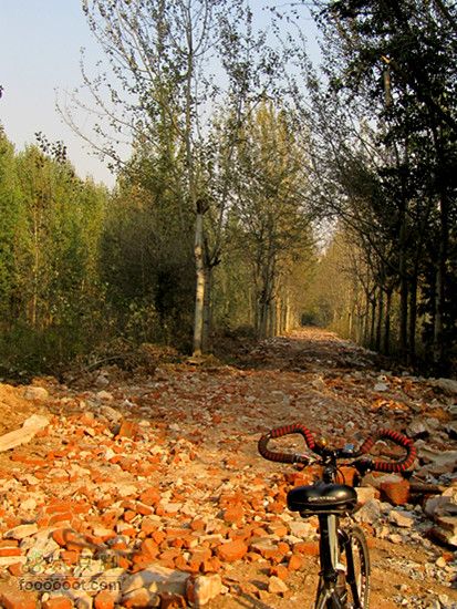 滈河南岸颇荒凉2011.10.17滈河行 067_副本