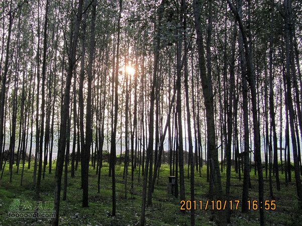 滈河南岸颇荒凉2011.10.17滈河行 124_副本