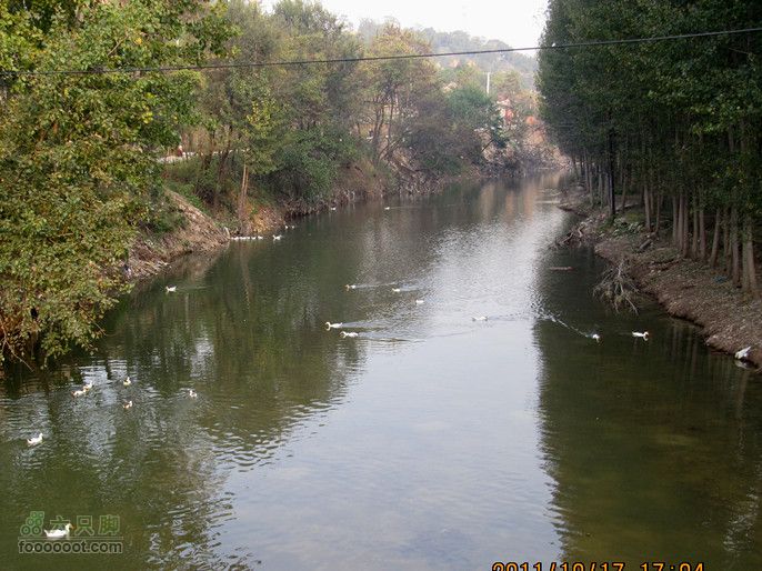 滈河南岸颇荒凉2011.10.17滈河行 137_副本