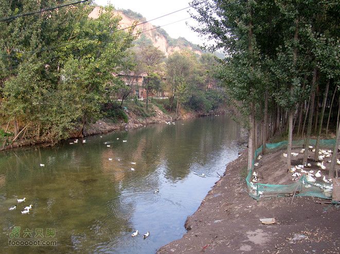 滈河南岸颇荒凉2011.10.17滈河行 139_副本