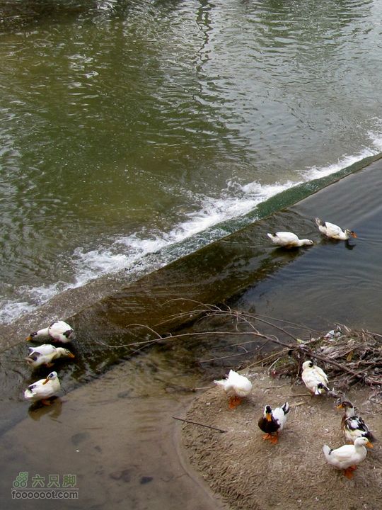 滈河南岸颇荒凉2011.10.17滈河行 140_副本