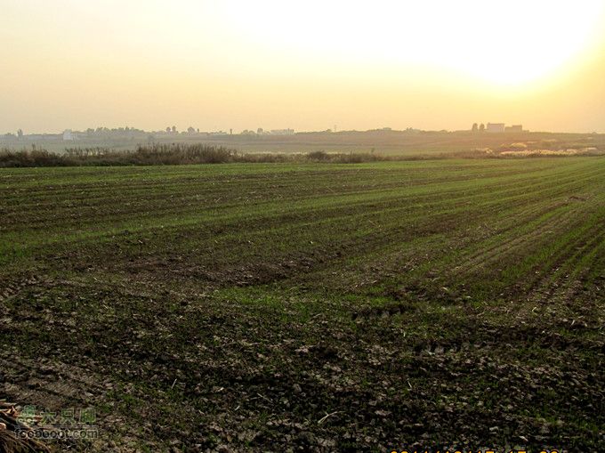 滈河南岸颇荒凉2011.10.17滈河行 174_副本