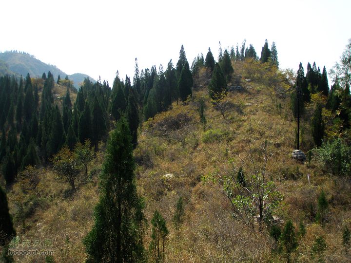 石安峪村云明山从此处左转下山，或者继续登山