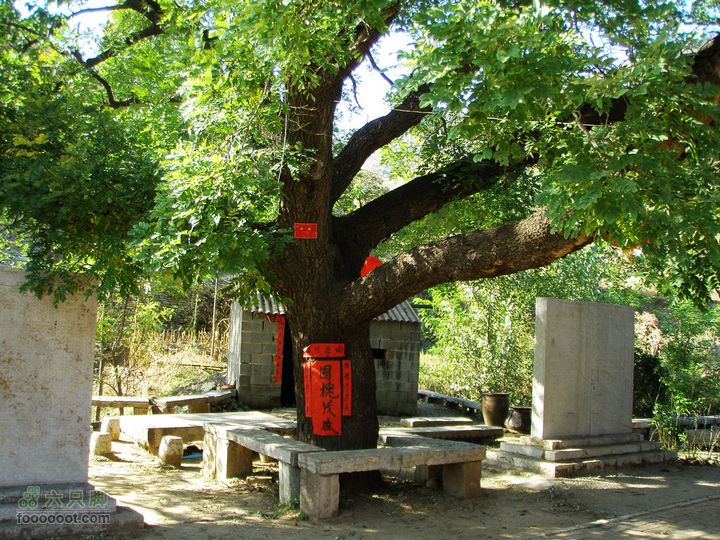 石安峪村云明山31