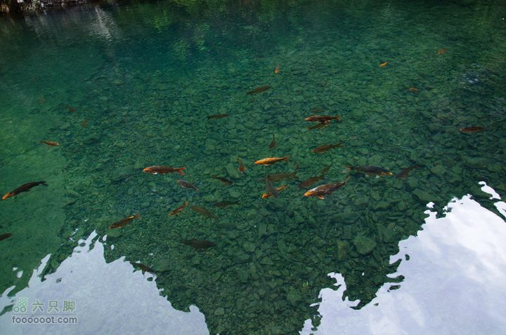 暑期单位组织的雁荡山之游雁荡山0116