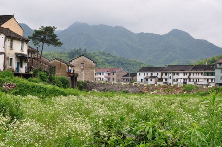 奉化徐凫岩、三隐潭、千丈岩DSC_0003