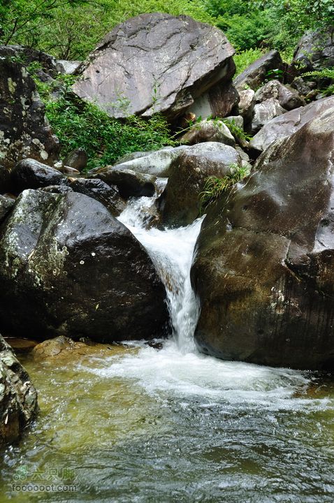 奉化徐凫岩、三隐潭、千丈岩DSC_7108
