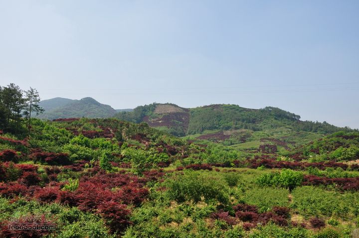 奉化徐凫岩、三隐潭、千丈岩DSC_5035