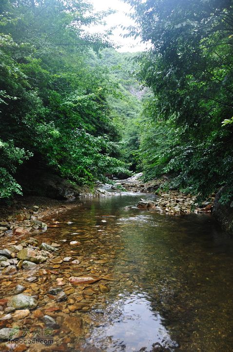 奉化徐凫岩、三隐潭、千丈岩DSC_7277