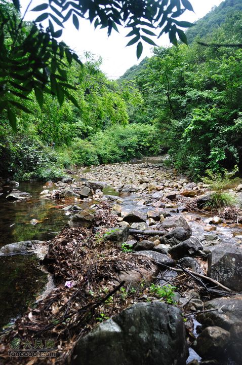 奉化徐凫岩、三隐潭、千丈岩DSC_7298