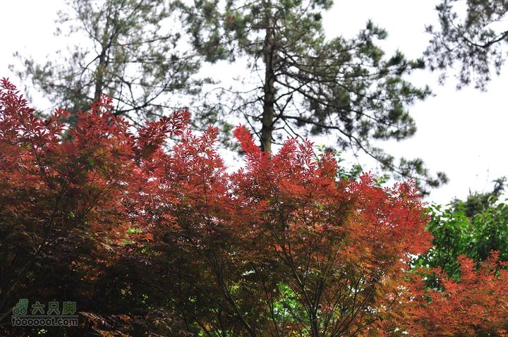 奉化徐凫岩、三隐潭、千丈岩DSC_0022