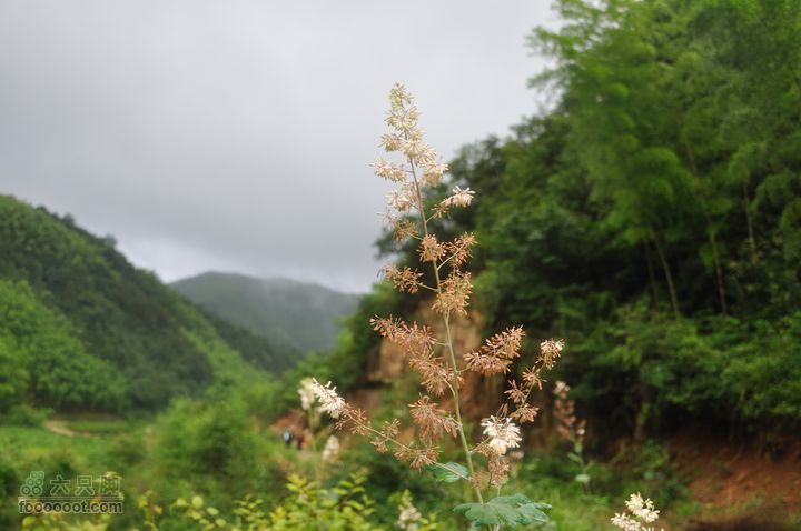 奉化徐凫岩、三隐潭、千丈岩DSC_7482