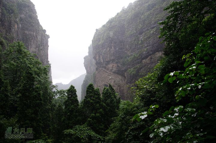 暑期单位组织的雁荡山之游雁荡山0166
