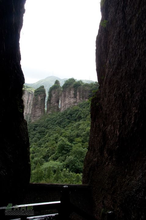 暑期单位组织的雁荡山之游雁荡山0243