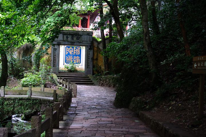 暑期单位组织的雁荡山之游雁荡山0315
