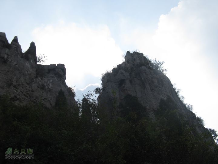 平邑曾子山IMG_9697