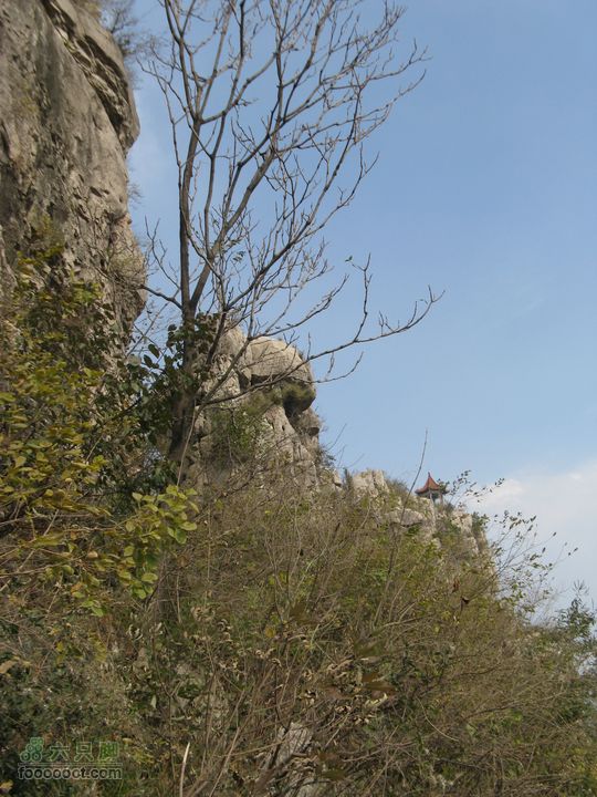 平邑曾子山IMG_9707