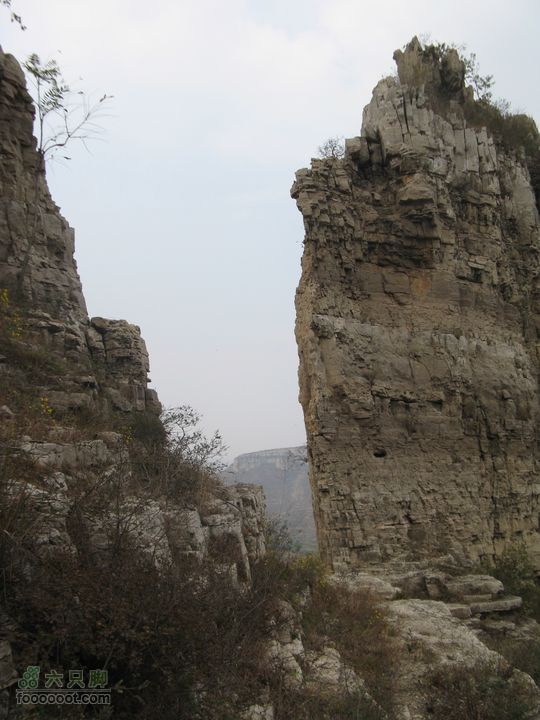 平邑曾子山IMG_9878