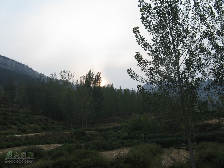 平邑曾子山IMG_9908