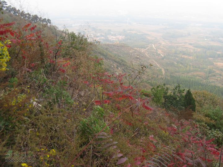 平邑曾子山IMG_9903