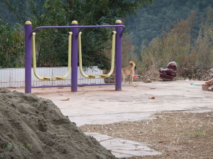 龙泉市樱桃沟 高强度拉练DSCF1711