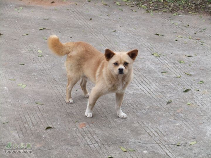 龙泉市樱桃沟 高强度拉练DSCF1712