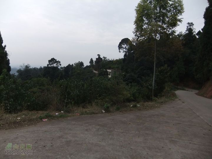 龙泉市樱桃沟 高强度拉练DSCF1713