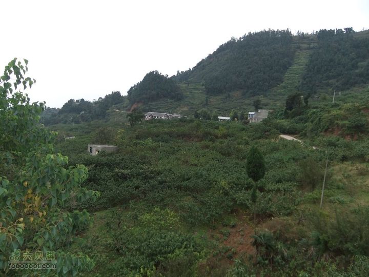 龙泉市樱桃沟 高强度拉练DSCF1714