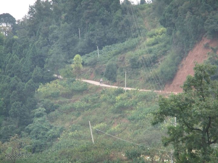 龙泉市樱桃沟 高强度拉练DSCF1715