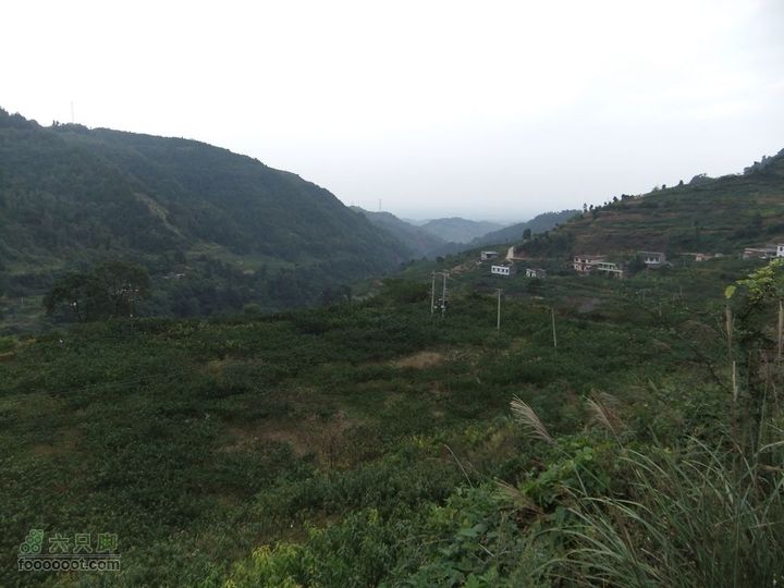 龙泉市樱桃沟 高强度拉练DSCF1717