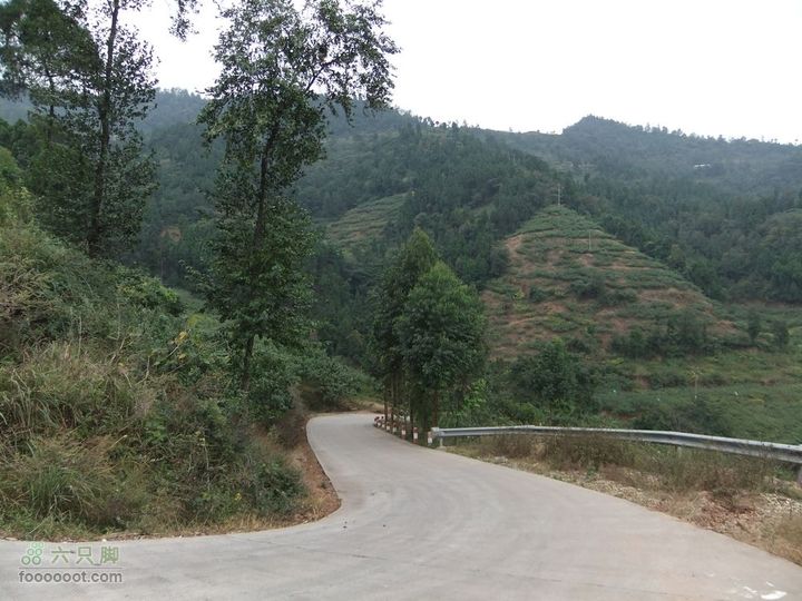 龙泉市樱桃沟 高强度拉练DSCF1721