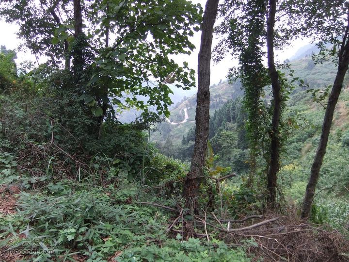 龙泉市樱桃沟 高强度拉练DSCF1723