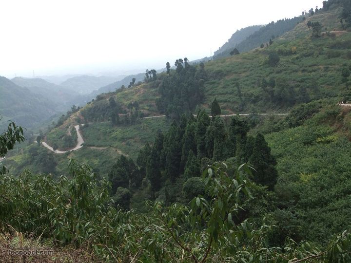 龙泉市樱桃沟 高强度拉练DSCF1724