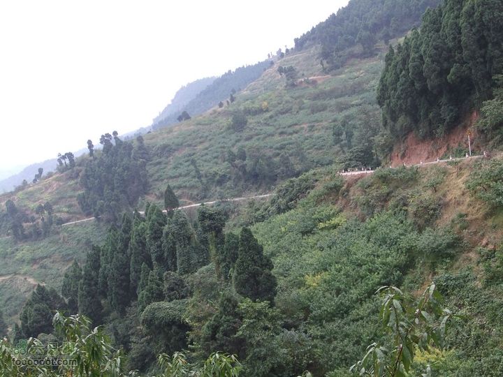 龙泉市樱桃沟 高强度拉练DSCF1725