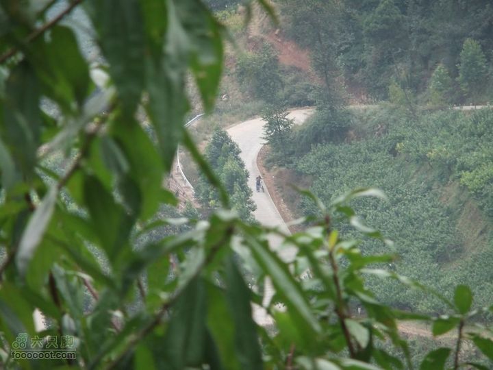 龙泉市樱桃沟 高强度拉练DSCF1726