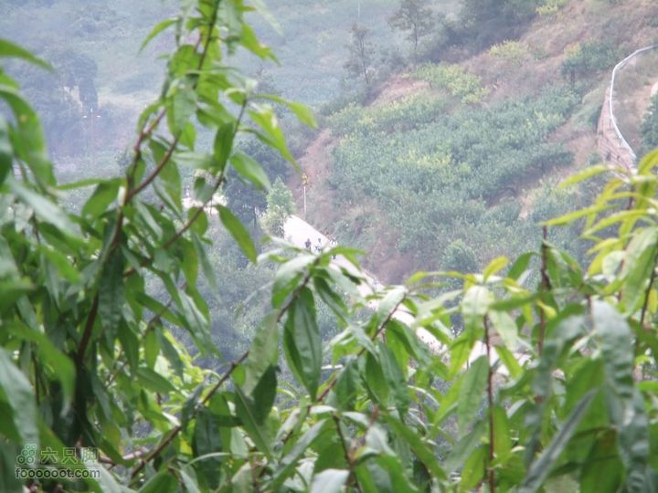 龙泉市樱桃沟 高强度拉练DSCF1728