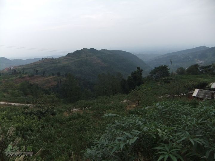 龙泉市樱桃沟 高强度拉练DSCF1729