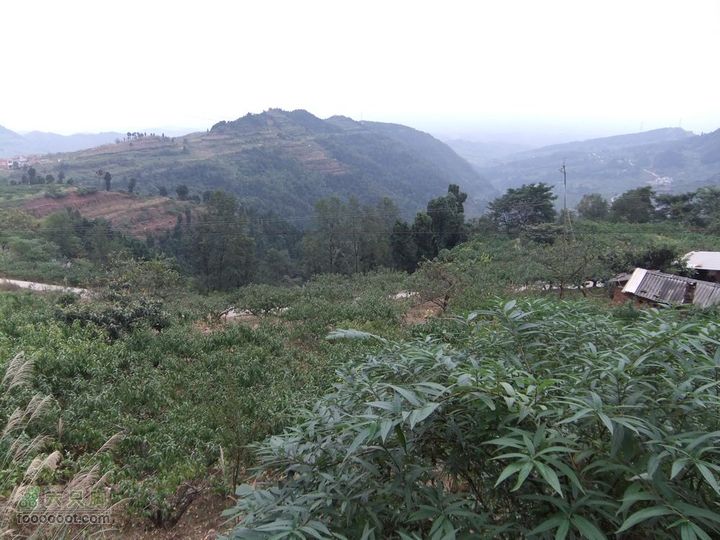 龙泉市樱桃沟 高强度拉练DSCF1730