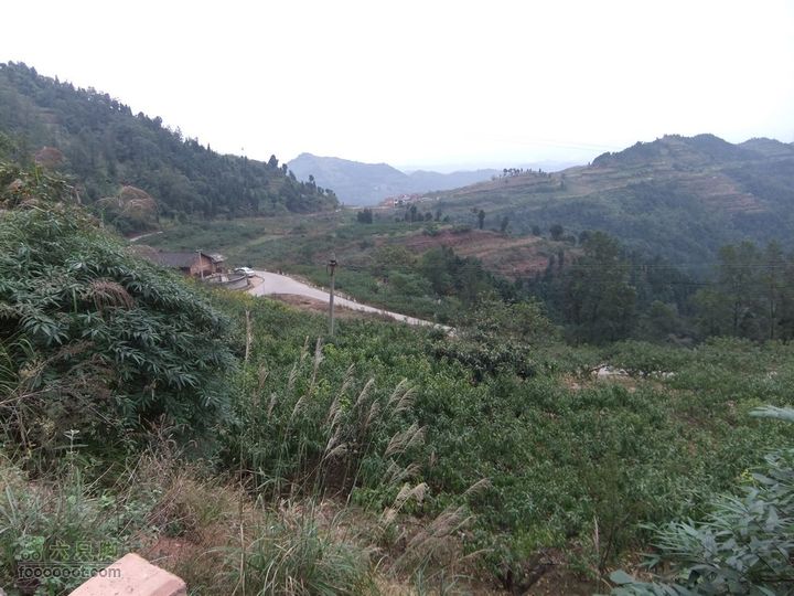 龙泉市樱桃沟 高强度拉练DSCF1731