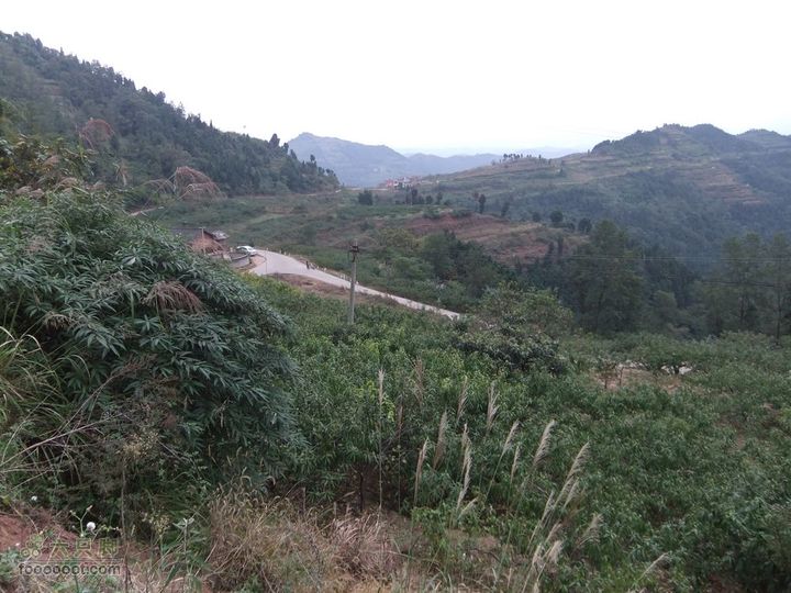 龙泉市樱桃沟 高强度拉练DSCF1734