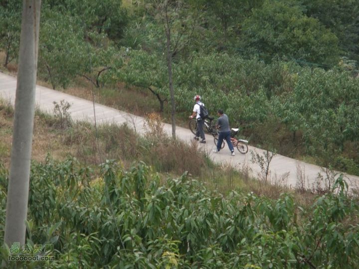 龙泉市樱桃沟 高强度拉练DSCF1735