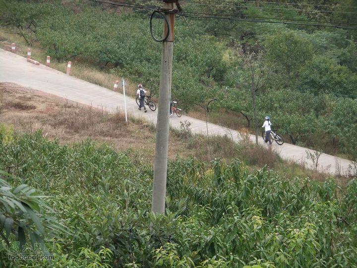 龙泉市樱桃沟 高强度拉练DSCF1736