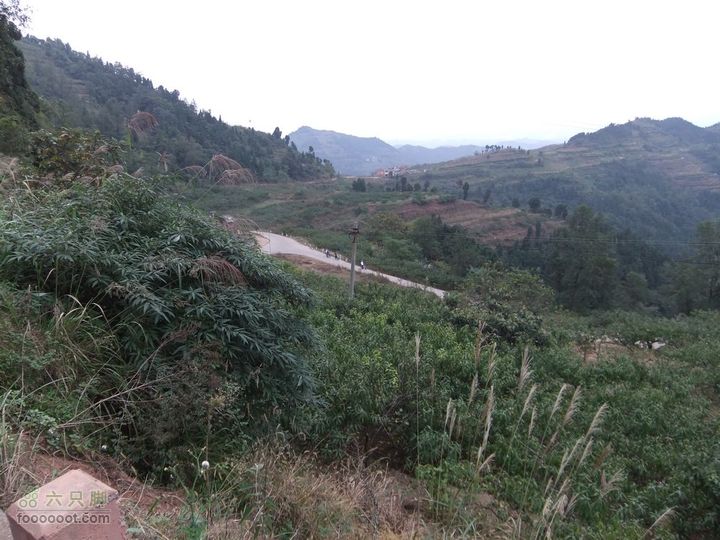 龙泉市樱桃沟 高强度拉练DSCF1737