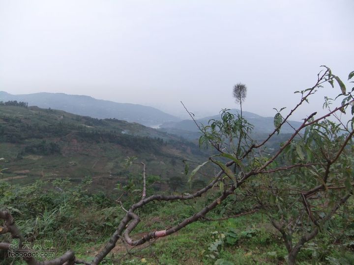 龙泉市樱桃沟 高强度拉练DSCF1738