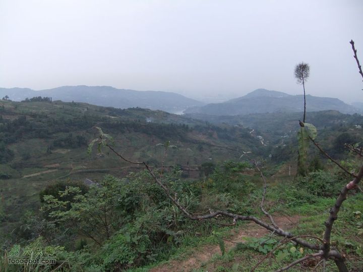 龙泉市樱桃沟 高强度拉练DSCF1739