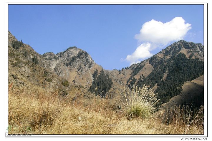 新疆天山天池2011-10-18RIMG0143